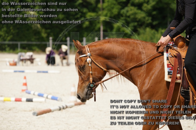 s_K3F02410.JPG